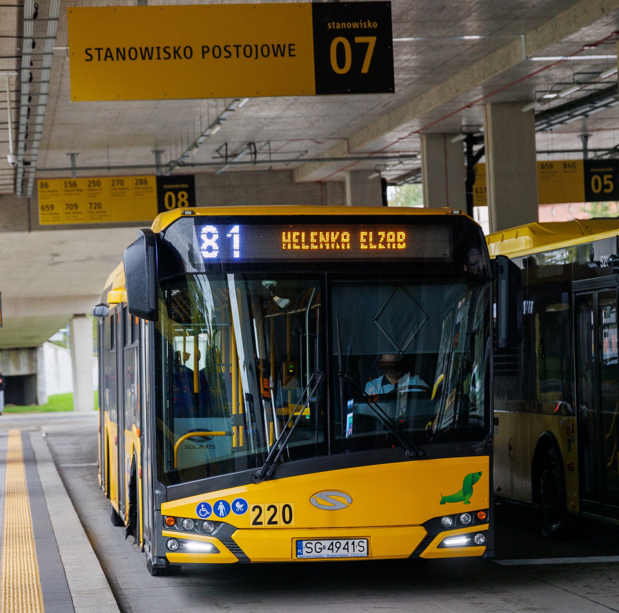 linia 81 zabrze - autobus